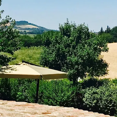 Farm stay Badia Agriturismo La Torraccia