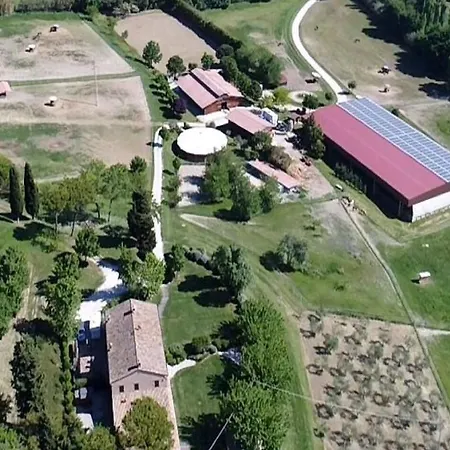 Farm stay Badia Agriturismo La Torraccia