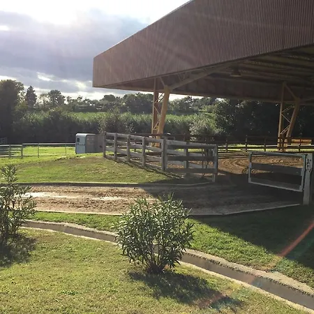 Farm stay Badia Agriturismo La Torraccia